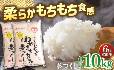 【全6回定期便】福岡産ブランド米・夢つくし5kg×2袋 桂川町/南国フルーツ株式会社 [ADBW040] 