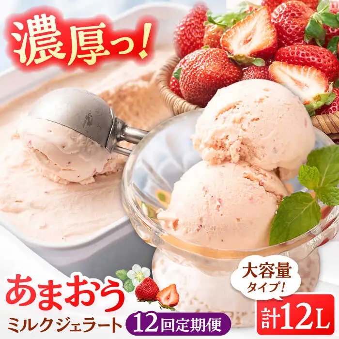 【全12回定期便】福岡産 あまおう ジェラート 1000ml 桂川町/南国フルーツ株式会社 [ADBW050] あまおう ジェラート あまおういちごアイス