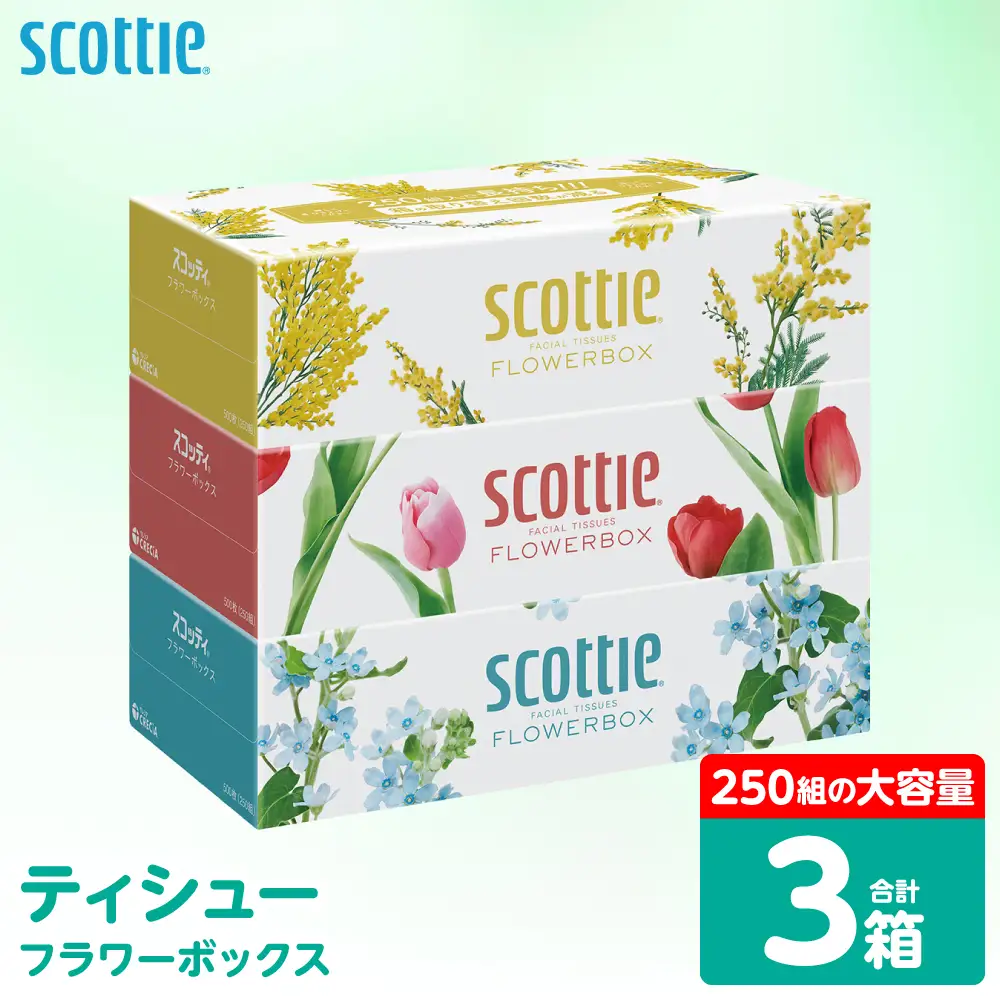 スコッティ ティッシュ 250組 3箱 ティシュー