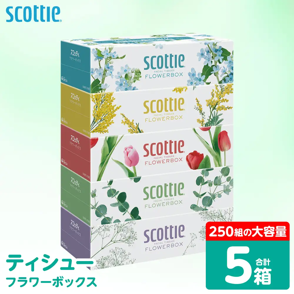 スコッティ ティッシュ 250組 5箱 ティシュー
