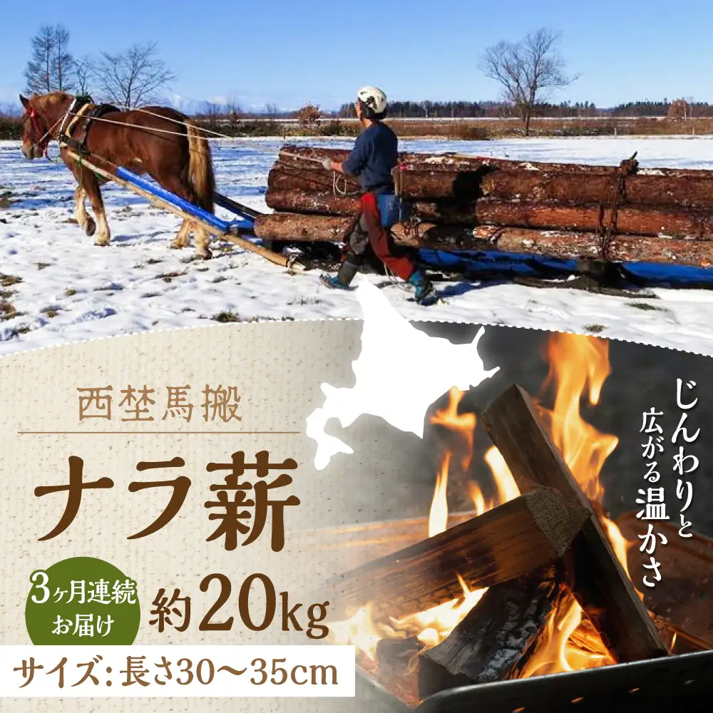【全3回定期便】北海道 ナラ薪 20kg【西埜馬搬】 薪 まき 薪ストーブ ストーブ キャンプ 北海道  [AXBE004] 46000円