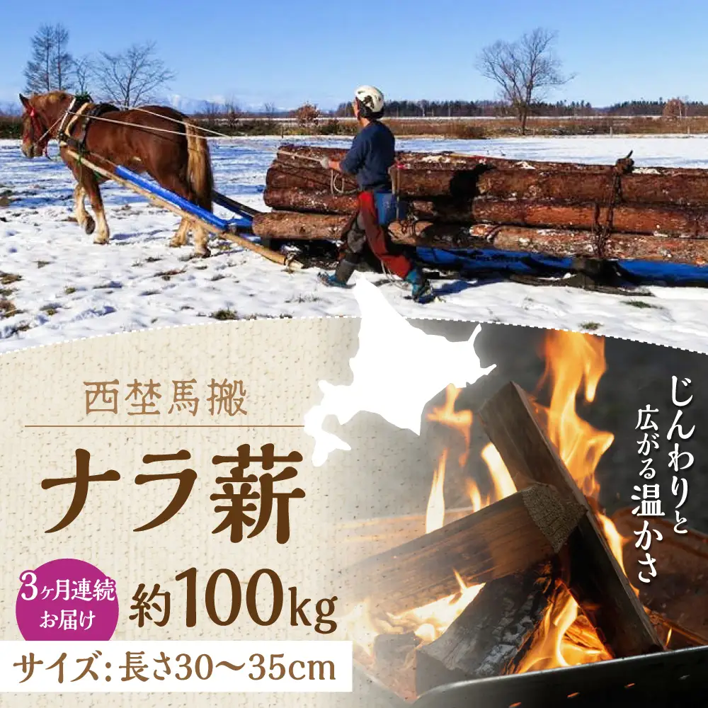 【全3回定期便】北海道 ナラ薪 100kg（20kg×5箱）【西埜馬搬】 薪 まき 薪ストーブ ストーブ キャンプ 北海道  [AXBE007]