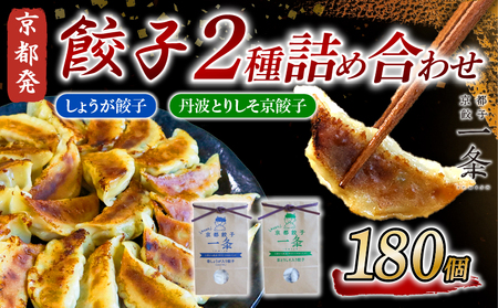 餃子2種 180個 (しょうが＆丹波とりしそ)京都餃子 餃子餃子餃子餃子餃子 235