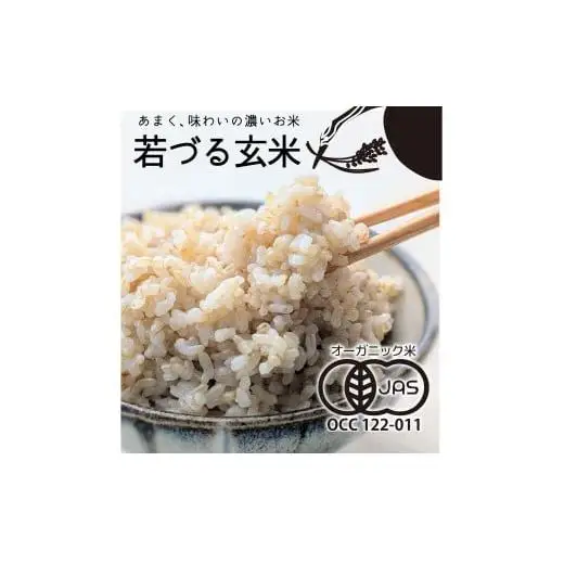 【若づる米】オーガニック 有機米 きぬむすめ 玄米 3kg[1175]