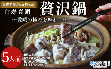 ＜お寿司屋さんが作った白寿真鯛 贅沢鍋セット ～愛媛の極みを味わう～ 5人前＞ 愛媛県産 白寿真鯛 鍋セット お取り寄せ アレンジ うどん ラーメン 雑炊 タレ付 グルメ 食品 魚介類 海鮮 海の幸 和泉屋 愛媛県 西予市【冷凍】『1か月以内に順次出荷』MSI0006