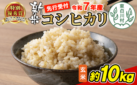 【令和7年産・先行受付】令和7年産 コシヒカリ 新米 玄米 約10kg 岐阜県 東白川村産