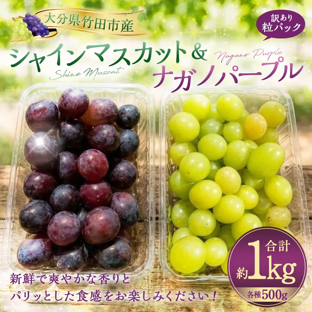 【数量限定】粒パック 訳あり シャインマスカット（約500g）&ナガノパープル（約500g） 計約1kg （各1パック）【2026年8月下旬-11月上旬発送開始予定】
