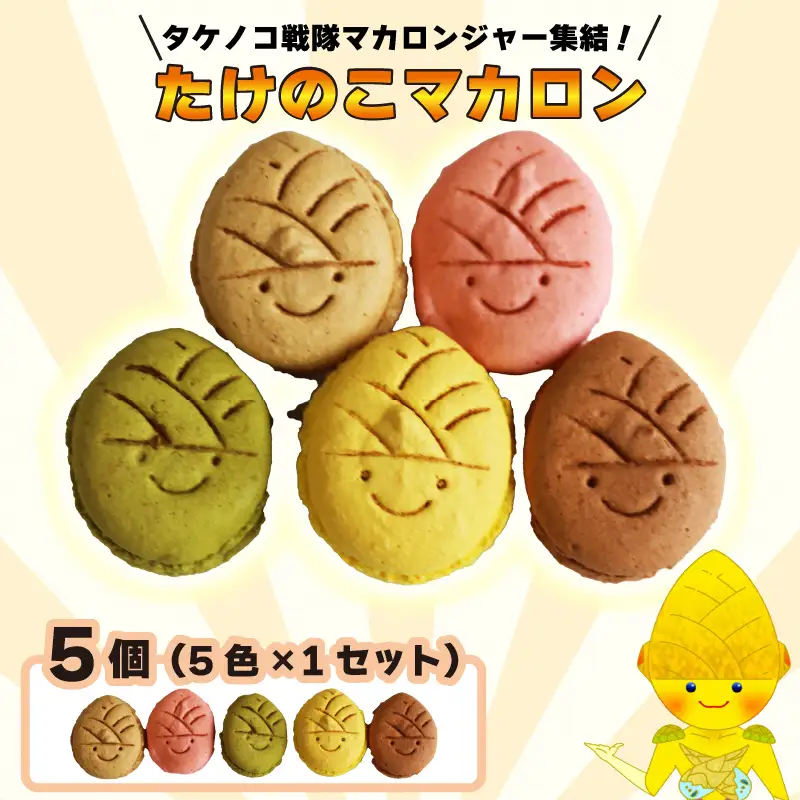 タケノコ戦隊マカロンジャー マカロン 5色 1箱 化粧箱入り [1752]