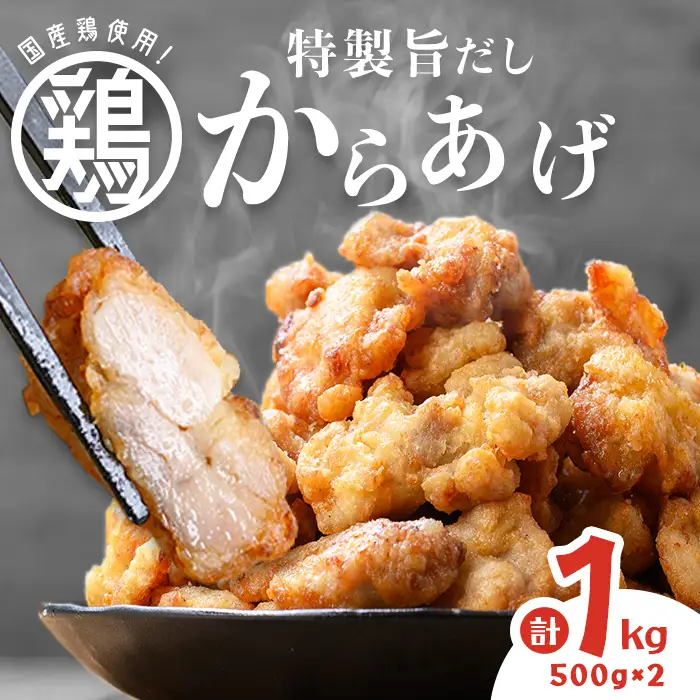 【訳あり・業務用】特製旨だしからあげ 計1kg 国産 鶏肉 鶏 からあげ から揚げ 鶏もも 惣菜 おかず 訳あり 冷凍 a1-183