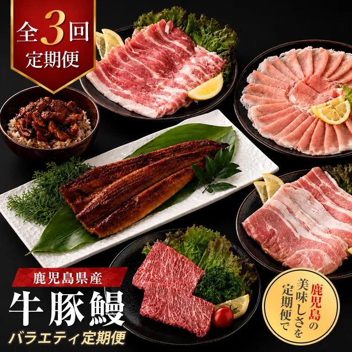 【全３回定期便】鹿児島県産牛・豚・鰻バラエティ定期便(IBZ999-004) 