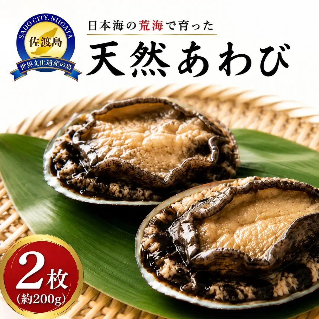 あわび 2枚 200g相当| 天然 新潟県 佐渡市 アワビ