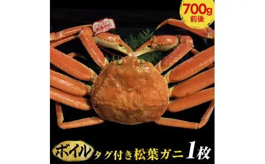 【ボイル】タグ付き 松葉ガニ 中1枚（700g前後） |  カニ 松葉ガニ タグ付き 【着日指定不可】※2026年11月上旬～2027年3月下旬頃に順次発送予定