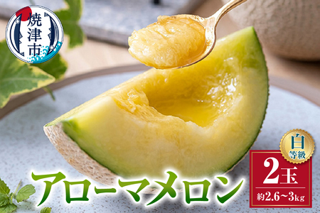 メロン 温室 アローマ 果物 ハウス 白等級 2玉 GABA (a32-026)