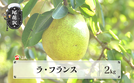 先行予約 ラ・フランス 約2kg 秀以上 令和8年産  ja-laxxx2-b