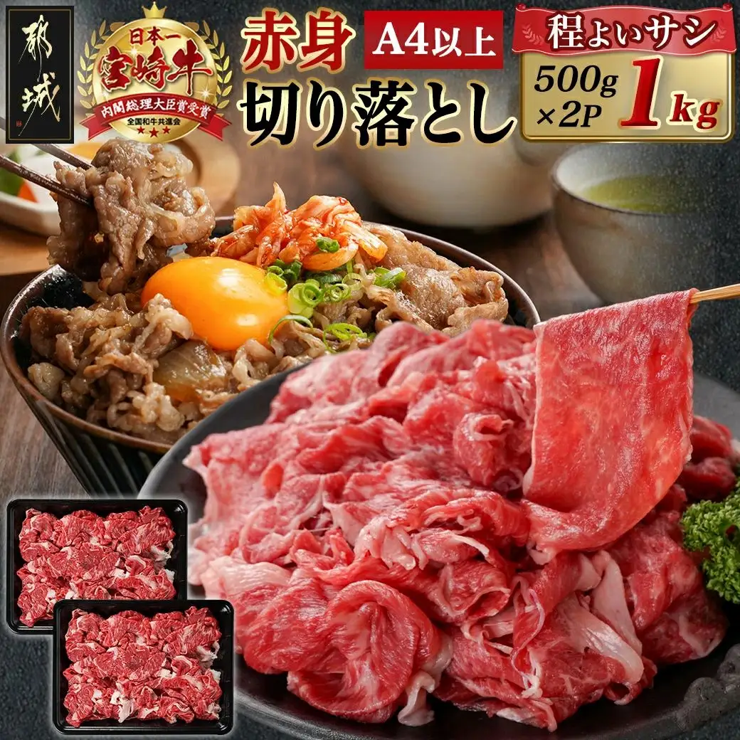 宮崎牛赤身切り落とし(500g×2P)〔AC-N403〕