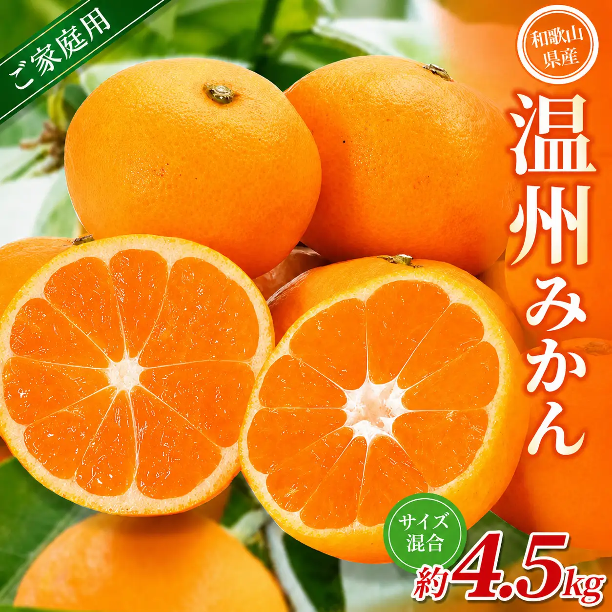 みかん 【家庭用】 森本農園 約4.5kg 【2026年10月中旬～2027年2月中旬ごろに順次発送】【BV90007-mrmt007】