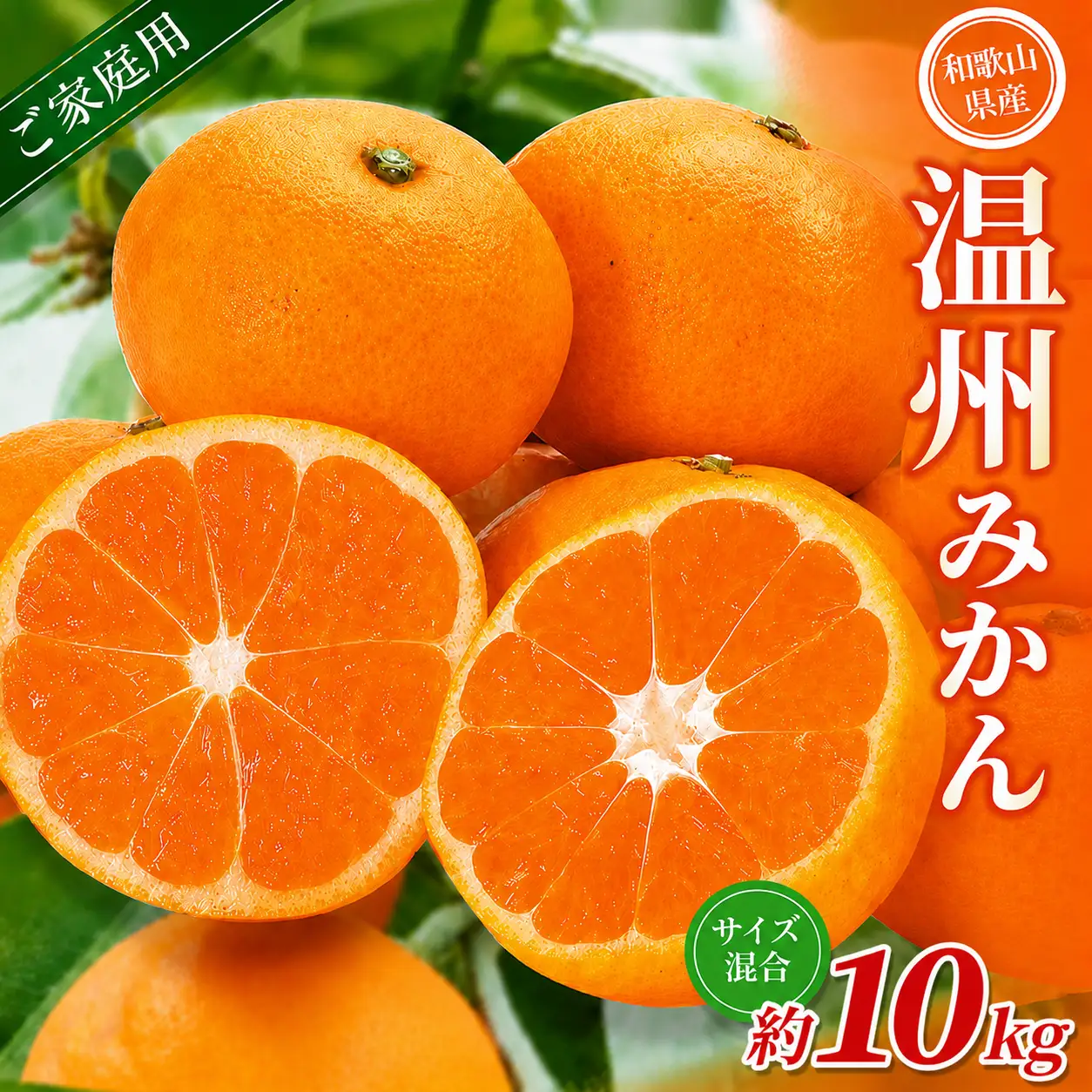 みかん【家庭用】 森本農園 約10kg 【2026年10月中旬～2027年2月中旬ごろに順次発送】【BV90031-mrmt031】