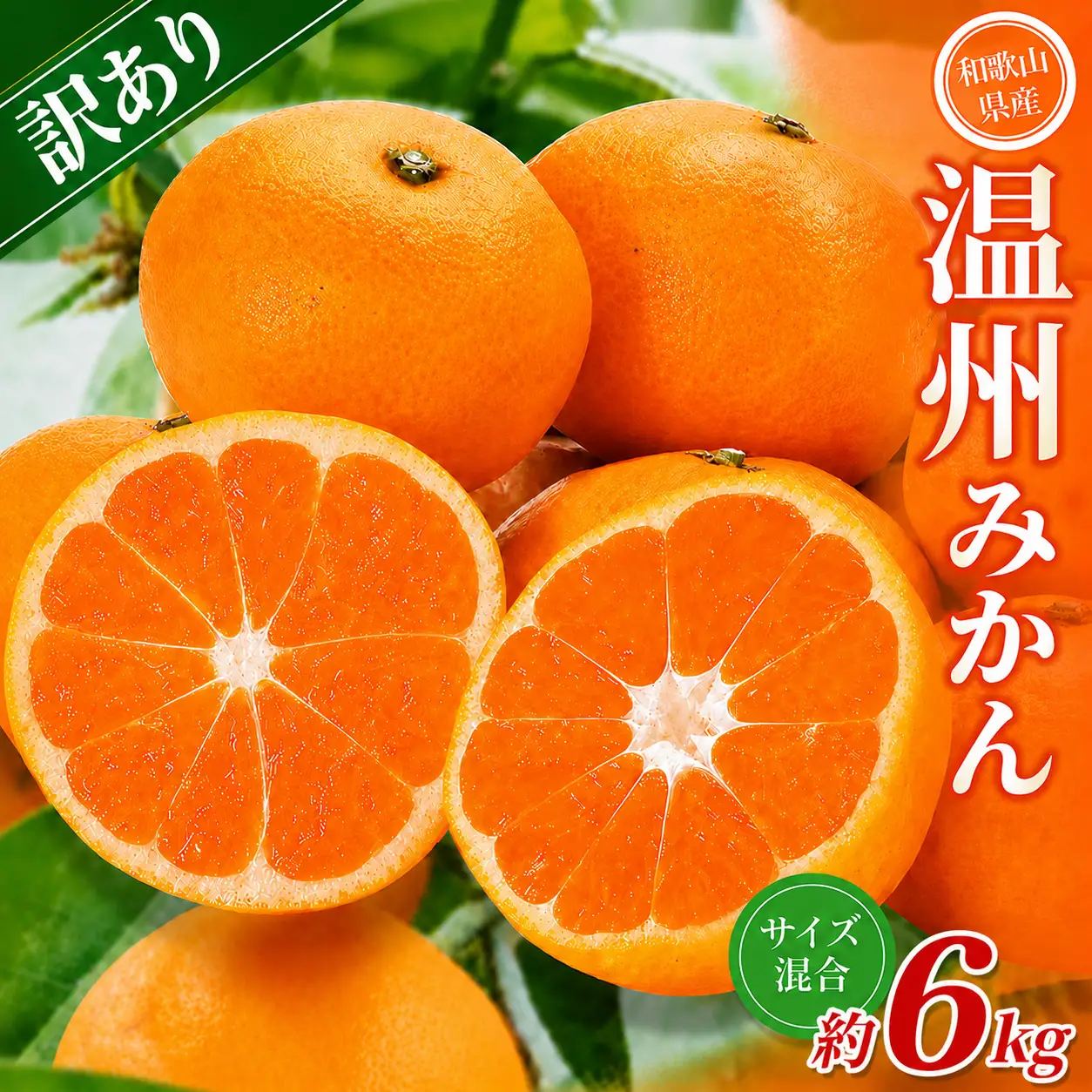 みかん【訳あり】 森本農園 約6kg 【2026年10月中旬～2027年2月中旬ごろに順次発送】【BV90009-mrmt009】