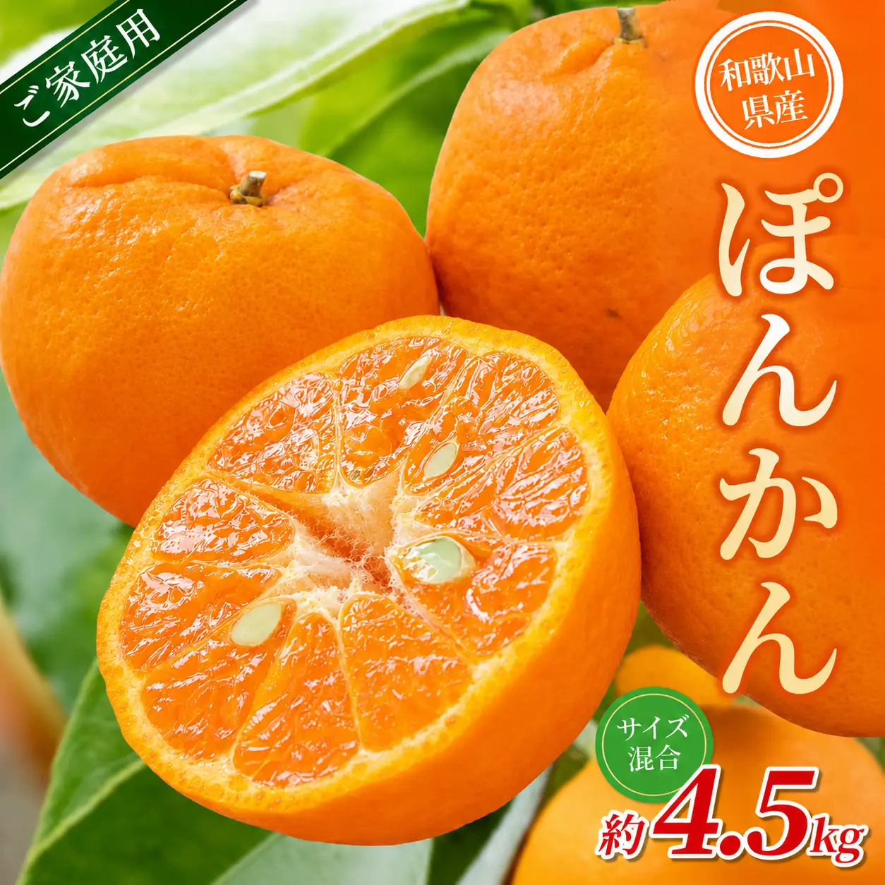 【家庭用】 森本農園の手選別 ポンカン 約4.5kg 和歌山県産 サイズ混合 【北海道・沖縄・離島配送不可】【2027年1月上旬～2月上旬頃に順次発送】【RN12】【BV90012-mrmt012】