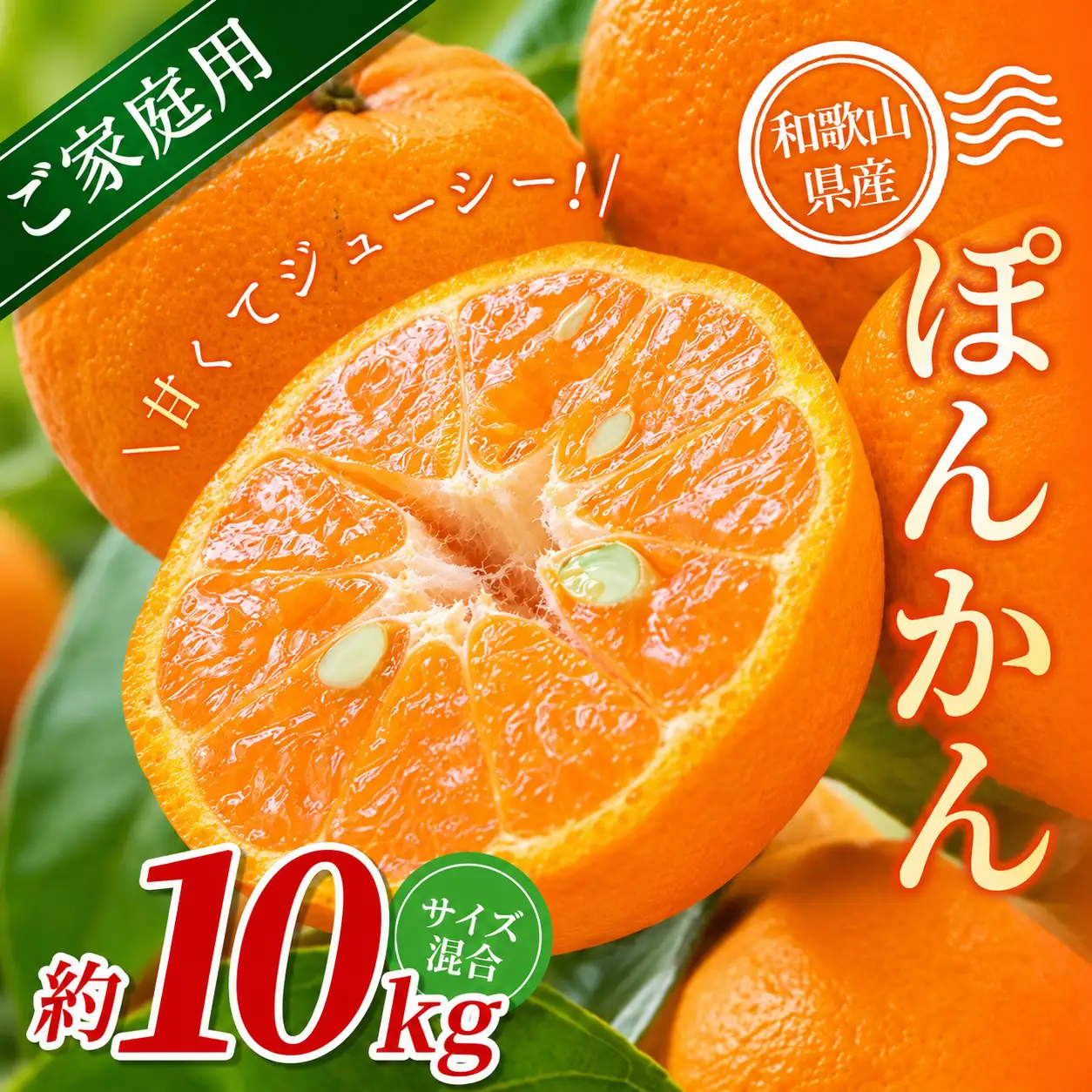 【家庭用】 森本農園の手選別 ポンカン 約10kg 和歌山県産 サイズ混合 【北海道・沖縄・離島配送不可】【2027年1月上旬～2月上旬頃に順次発送】【RN33】【BV90033-mrmt033A】
