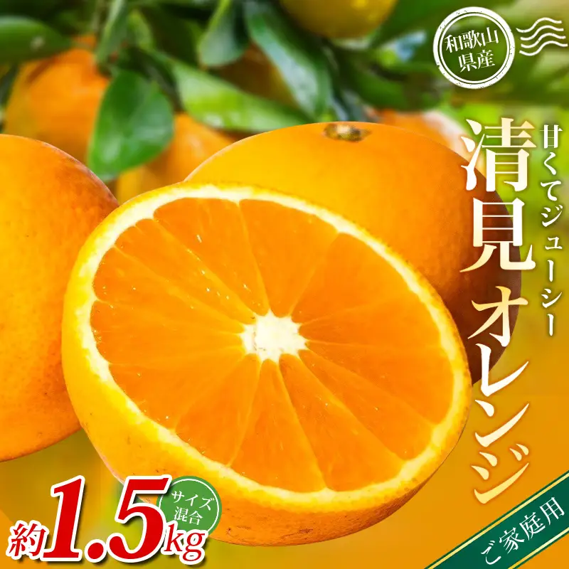 【家庭用】 森本農園の手選別 清見オレンジ 約1.5kg 和歌山県産 サイズ混合 【北海道・沖縄・離島配送不可】【BV90021-mrmt021A】