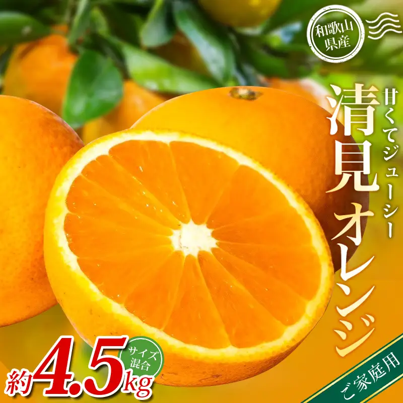 【家庭用】 森本農園の手選別 清見オレンジ 約4.5kg 和歌山県産 サイズ混合 【北海道・沖縄・離島配送不可】【BV90022-mrmt022A】