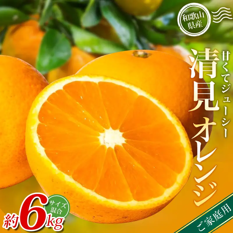 みかん 【家庭用】  清見オレンジ 約6kg  【北海道・沖縄・離島配送不可】【BV90038-mrmt038A】