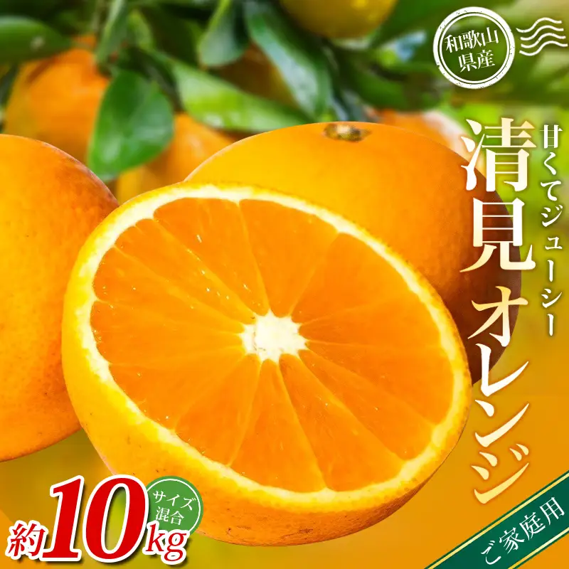みかん 【家庭用】  清見オレンジ 約10kg 【北海道・沖縄・離島配送不可】【BV90039-mrmt039C】