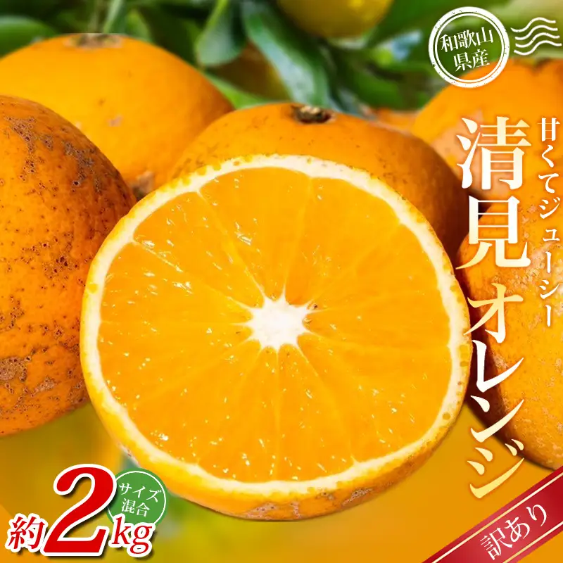 みかん【訳あり】 清見オレンジ 約2kg 【北海道・沖縄・離島配送不可】【BV90023-mrmt023A】