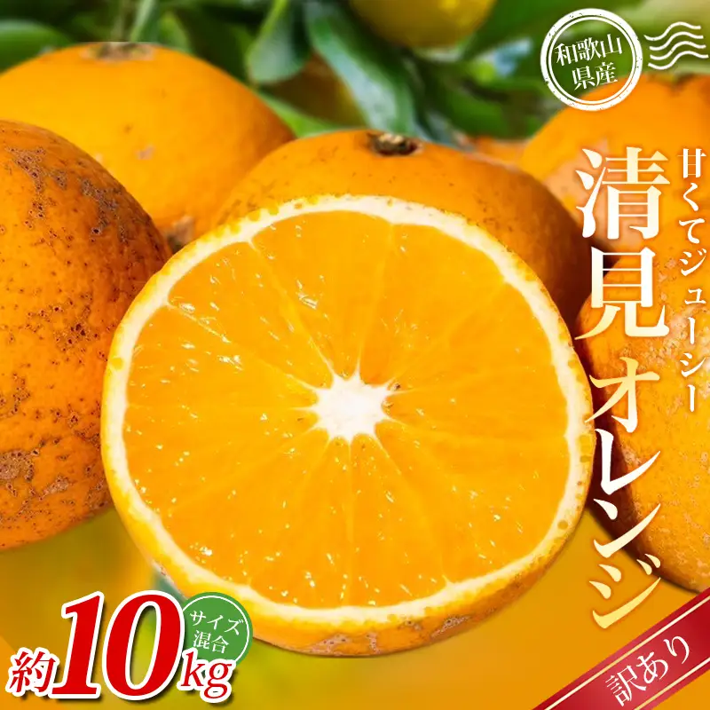 みかん 【訳あり】  清見オレンジ 約10kg  【北海道・沖縄・離島配送不可】【BV90025-mrmt025B】