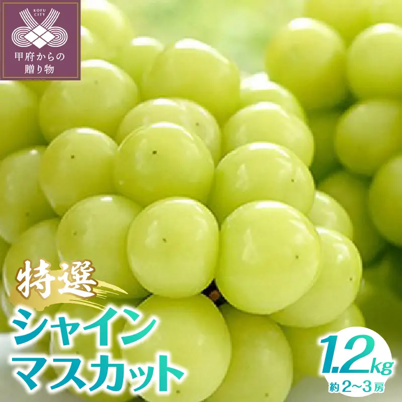 【2026年発送分】植原葡萄研究所の特選シャインマスカット1.2kg