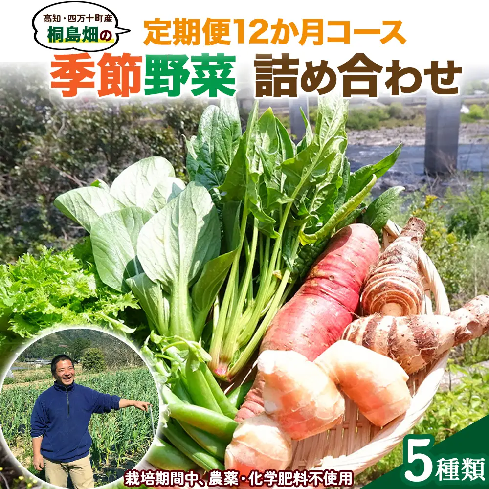 【栽培期間中、農薬・化学肥料不使用】桐島畑の季節野菜詰め合わせ(5種類)(定期便12か月コース)　Rfkh-A02 ／ やさい 国産野菜 四万十 高知 季節 フレッシュ 旬 無農薬 有機農業 野菜セット 新鮮 フレッシュ こだわり栽培 安心安全