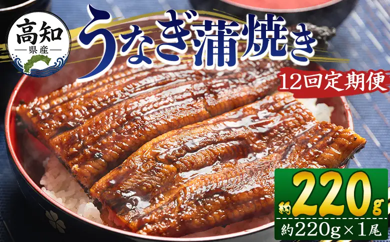 国産 うなぎ 定期便 12回 約220g １尾 蒲焼き 高知県産 養殖 魚介 国産 海鮮 魚 かばやき 鰻 ウナギ 惣菜 おかず お手軽 加工品 加工食品 冷凍 Wfb-0060