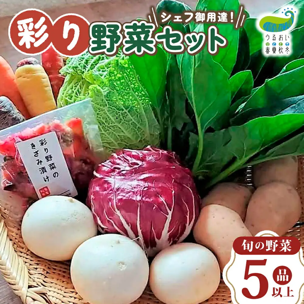 農園自慢 彩り 野菜セット（ 5品 以上?）【予約受付 6月発送開始予定】旬 野菜 詰め合わせ シェフ御用達 国産 うるおい春夏秋冬 やさい セット 岩手県 北上市 A0235 季節の野菜 西洋野菜 紫人参 丸なす 水なす 長なす とうがらし カラフル 野菜 お試し