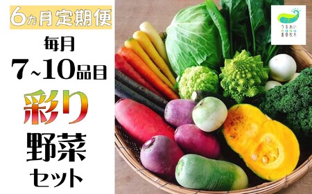 【 6ヶ月 定期便 / 予約受付 6月発送開始予定 】シェフ御用達！ 農園自慢 ★ 彩り 野菜セット（ 7品 目以上～）旬の野菜 詰め合わせ 岩手県 北上市 J0076