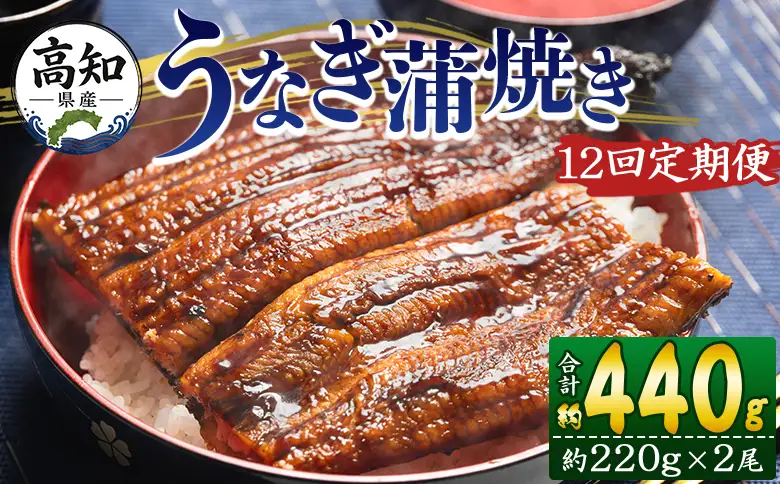 国産 うなぎ 定期便 12回 約220g 2尾 蒲焼き 高知県産 養殖 魚介 国産 海鮮 魚 かばやき 鰻 ウナギ 惣菜 おかず お手軽 加工品 加工食品 冷凍 Wfb-0064