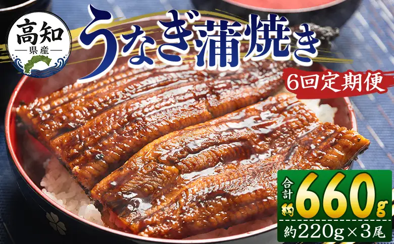 国産 うなぎ 定期便 6回 約220g 3尾 蒲焼き 高知県産 養殖 魚介 国産 海鮮 魚 かばやき 鰻 ウナギ 惣菜 おかず お手軽 加工品 加工食品 冷凍 Wfb-0067