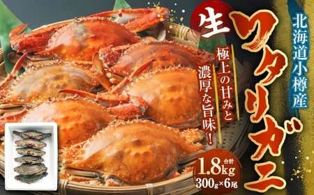 北海道 小樽市産 ワタリガニ 1.8kg (300g×6尾) 蟹 かに ワタリ蟹