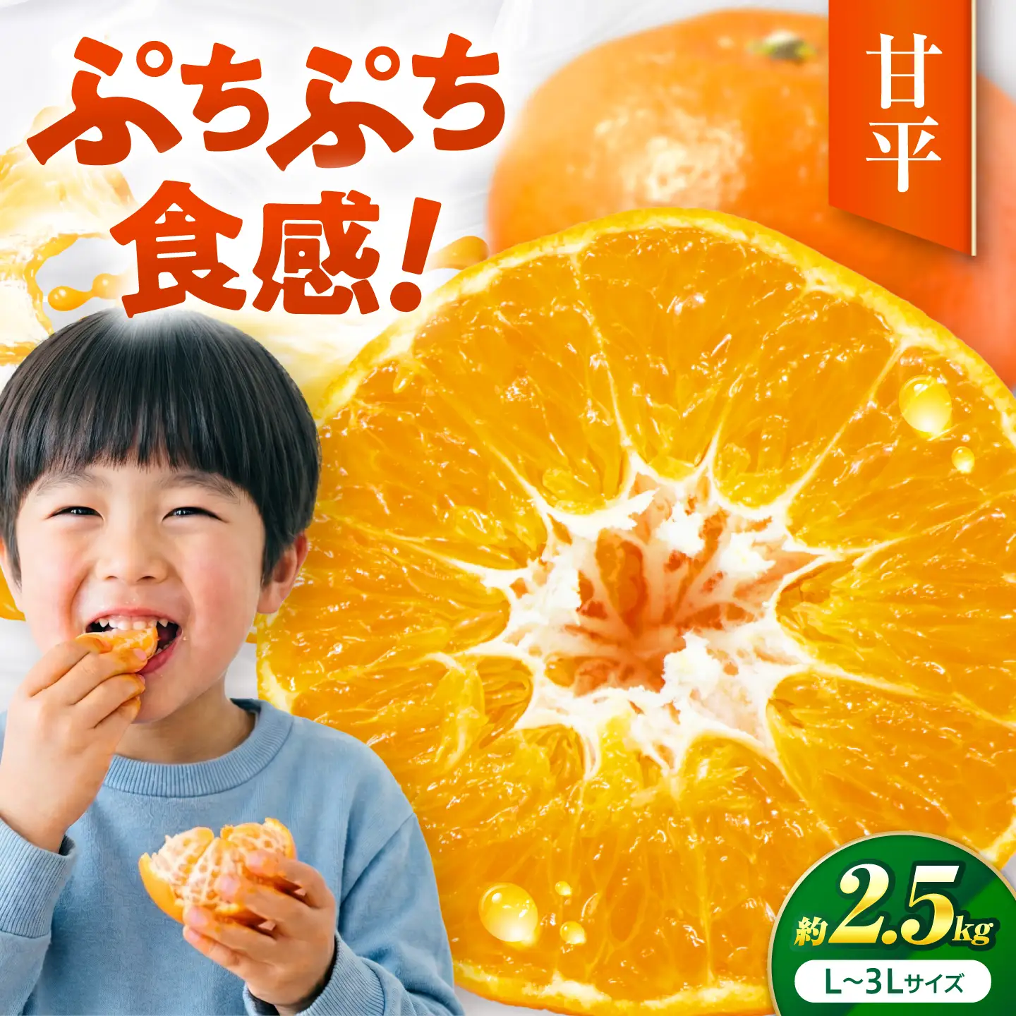 甘平 L-3Lサイズ 2.5kg フルーツ 果物 みかん BJBI008