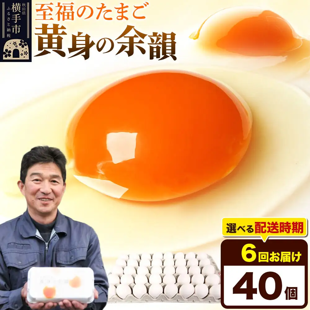 【常温発送】《定期便6ヶ月》黄身の余韻 40個（業務用）【発送時期が選べる】東海林養鶏場 黄身の余韻 卵 玉子 たまご タマゴ 6か月 6ヵ月 6カ月 6ケ月 開始時期選べる