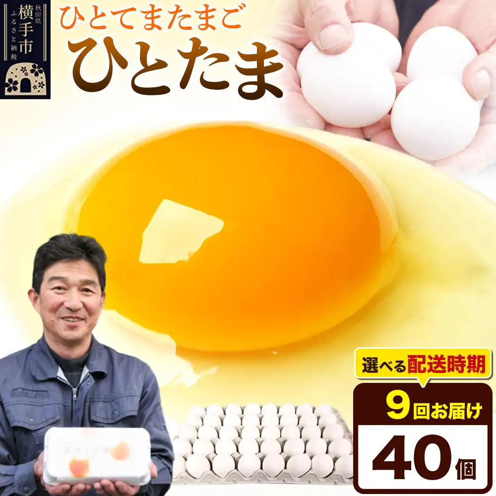 【常温発送】《定期便9ヶ月》ひとたま 40個（業務用）【発送時期が選べる】東海林養鶏場 ひとたま 卵 玉子 たまご タマゴ 9か月 9ヵ月 9カ月 9ケ月 開始時期選べる