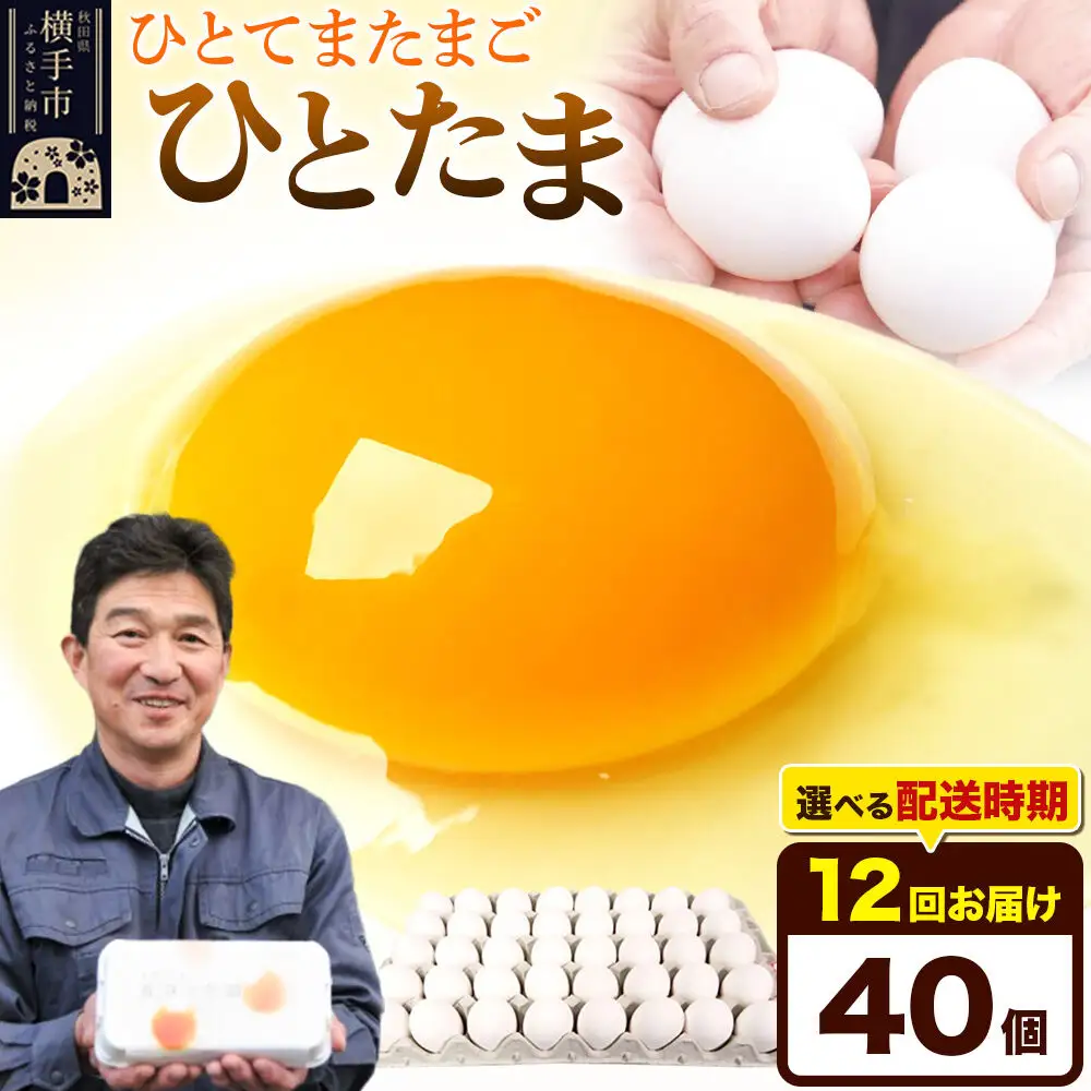 【常温発送】《定期便12ヶ月》ひとたま 40個（業務用）【発送時期が選べる】東海林養鶏場 ひとたま 卵 玉子 たまご タマゴ 12か月 12ヵ月 12カ月 12ケ月 開始時期選べる