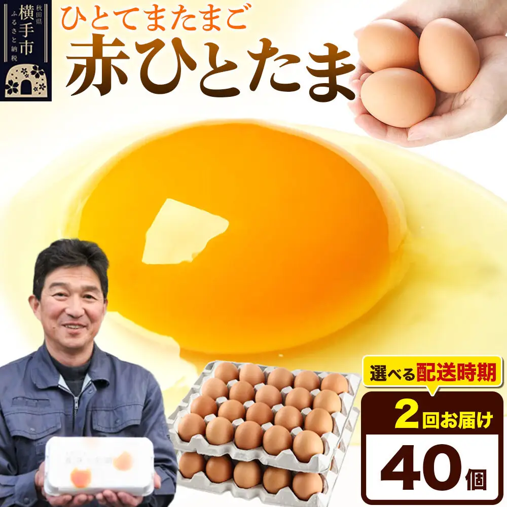 【常温発送】《定期便2ヶ月》赤ひとたま 40個（業務用）【発送時期が選べる】東海林養鶏場 赤ひとたま 卵 玉子 たまご タマゴ 2か月 2ヵ月 2カ月 2ケ月 開始時期選べる