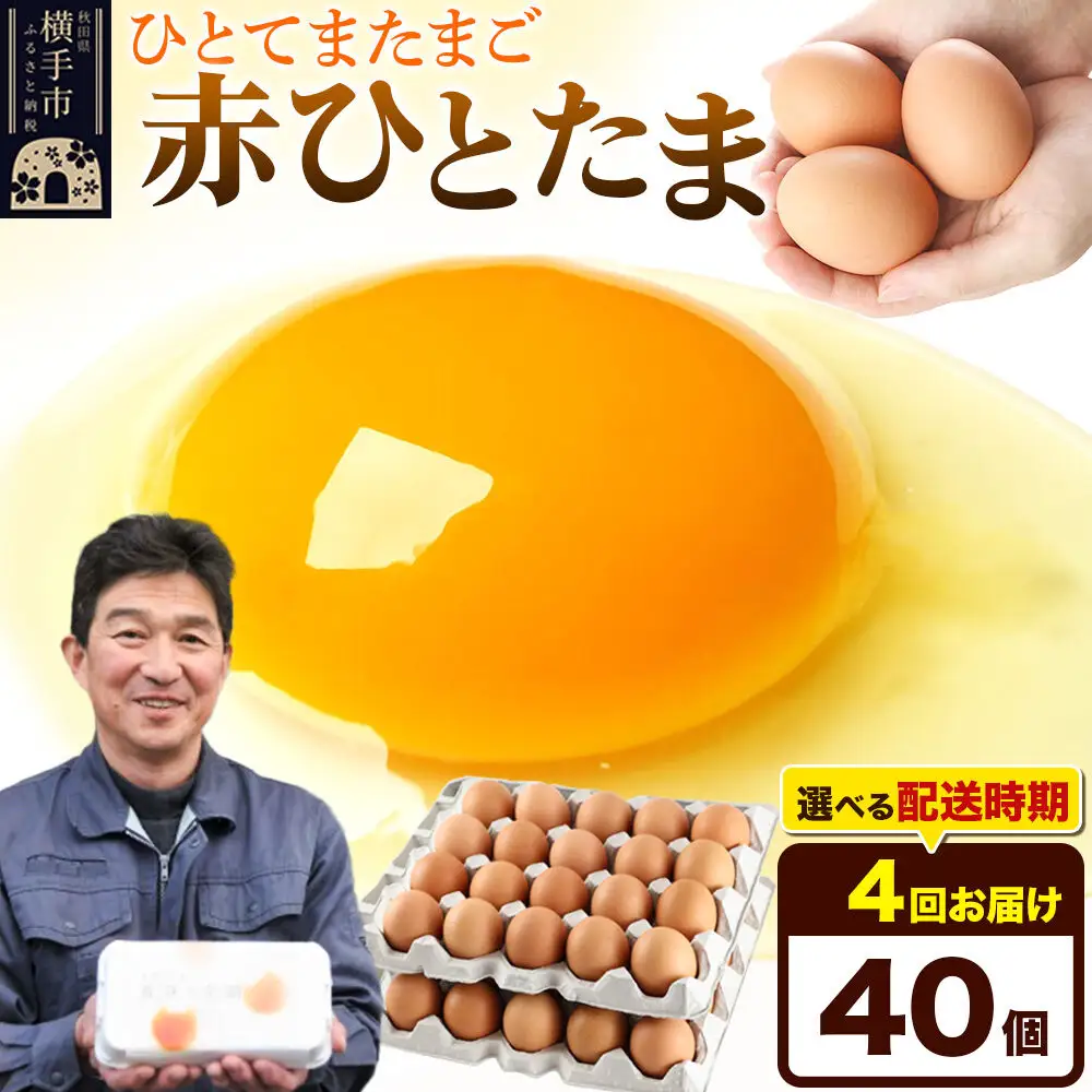 【常温発送】《定期便4ヶ月》赤ひとたま 40個（業務用）【発送時期が選べる】東海林養鶏場 赤ひとたま 卵 玉子 たまご タマゴ 4か月 4ヵ月 4カ月 4ケ月 開始時期選べる