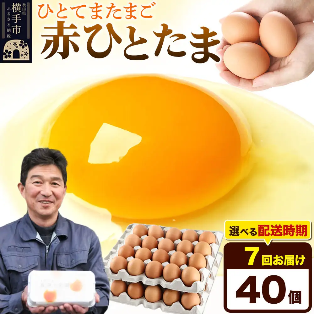【常温発送】《定期便7ヶ月》赤ひとたま 40個（業務用）【発送時期が選べる】東海林養鶏場 赤ひとたま 卵 玉子 たまご タマゴ 7か月 7ヵ月 7カ月 7ケ月 開始時期選べる