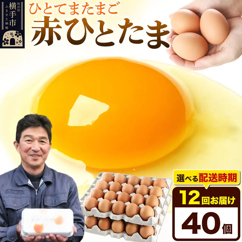 【常温発送】《定期便12ヶ月》赤ひとたま 40個（業務用）【発送時期が選べる】東海林養鶏場 赤ひとたま 卵 玉子 たまご タマゴ 12か月 12ヵ月 12カ月 12ケ月 開始時期選べる
