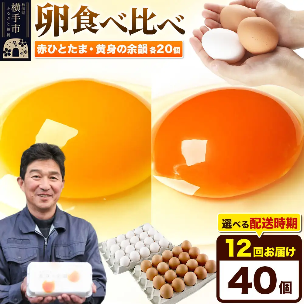 【常温発送】《定期便12ヶ月》赤ひとたま 20個・黄身の余韻 20個 計40個（業務用）【発送時期が選べる】東海林養鶏場 赤ひとたま 黄身の余韻 卵 玉子 たまご タマゴ 12か月 12ヵ月 12カ月 12ケ月 開始時期選べる