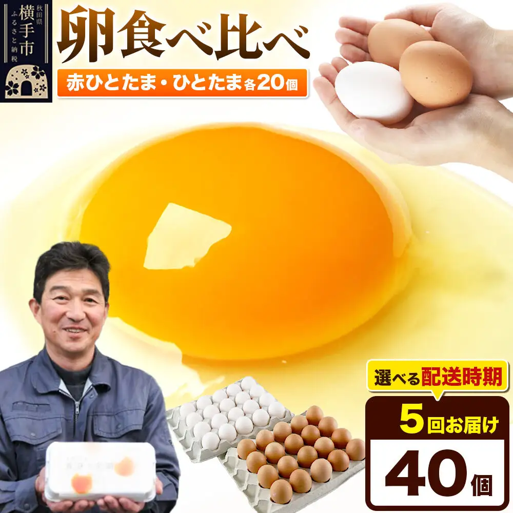 【常温発送】《定期便5ヶ月》赤ひとたま 20個・ひとたま 20個 計40個（業務用）【発送時期が選べる】東海林養鶏場 赤ひとたま ひとたま 卵 玉子 たまご タマゴ 5か月 5ヵ月 5カ月 5ケ月 開始時期選べる