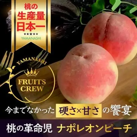 【8月中旬より順次発送】硬さ×甘さの饗宴 希少なナポレオンピーチ今回逃すと1年待ち【配送不可地域：離島・北海道・沖縄県・中国・四国・九州】【1424184】