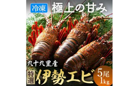 【 先行予約 2026年度発送】 冷凍伊勢海老 5尾 約1kg 刺身用